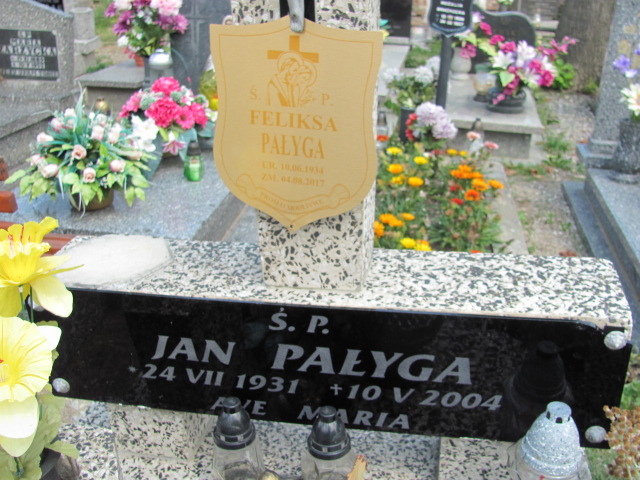 Jan Pałyga 1931 Pieszyce - Grobonet - Wyszukiwarka osób pochowanych