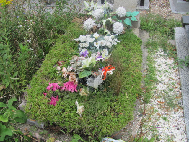  NN Pieszyce - Grobonet - Wyszukiwarka osób pochowanych