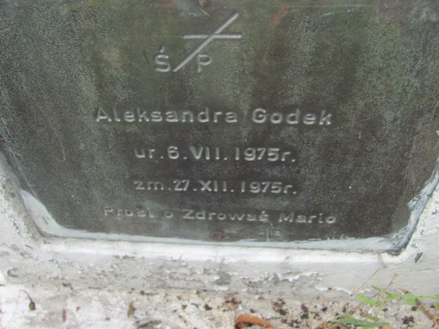 Aleksander Godek 1975 Pieszyce - Grobonet - Wyszukiwarka osób pochowanych