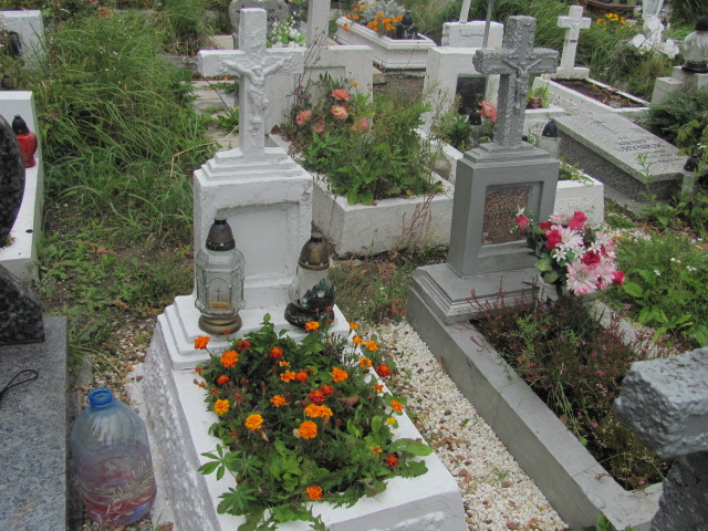  NN Pieszyce - Grobonet - Wyszukiwarka osób pochowanych