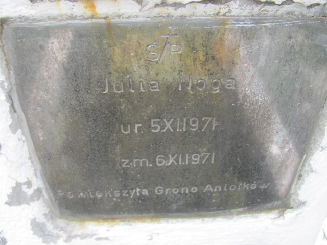 Julia Noga 1971 Pieszyce - Grobonet - Wyszukiwarka osób pochowanych