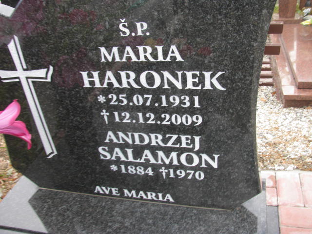 Andrzej Salamon 1884 Pieszyce - Grobonet - Wyszukiwarka osób pochowanych