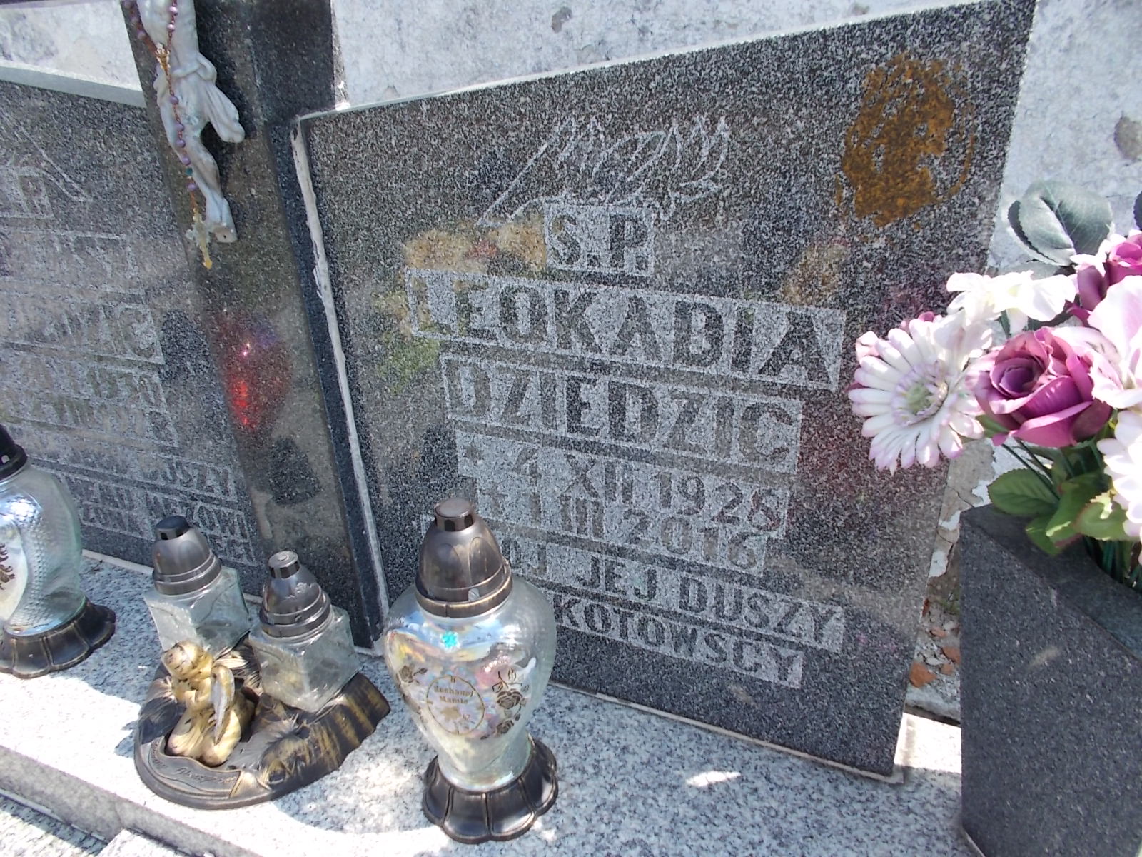 Tadeusz Dziedzic 1930 Pieszyce - Grobonet - Wyszukiwarka osób pochowanych