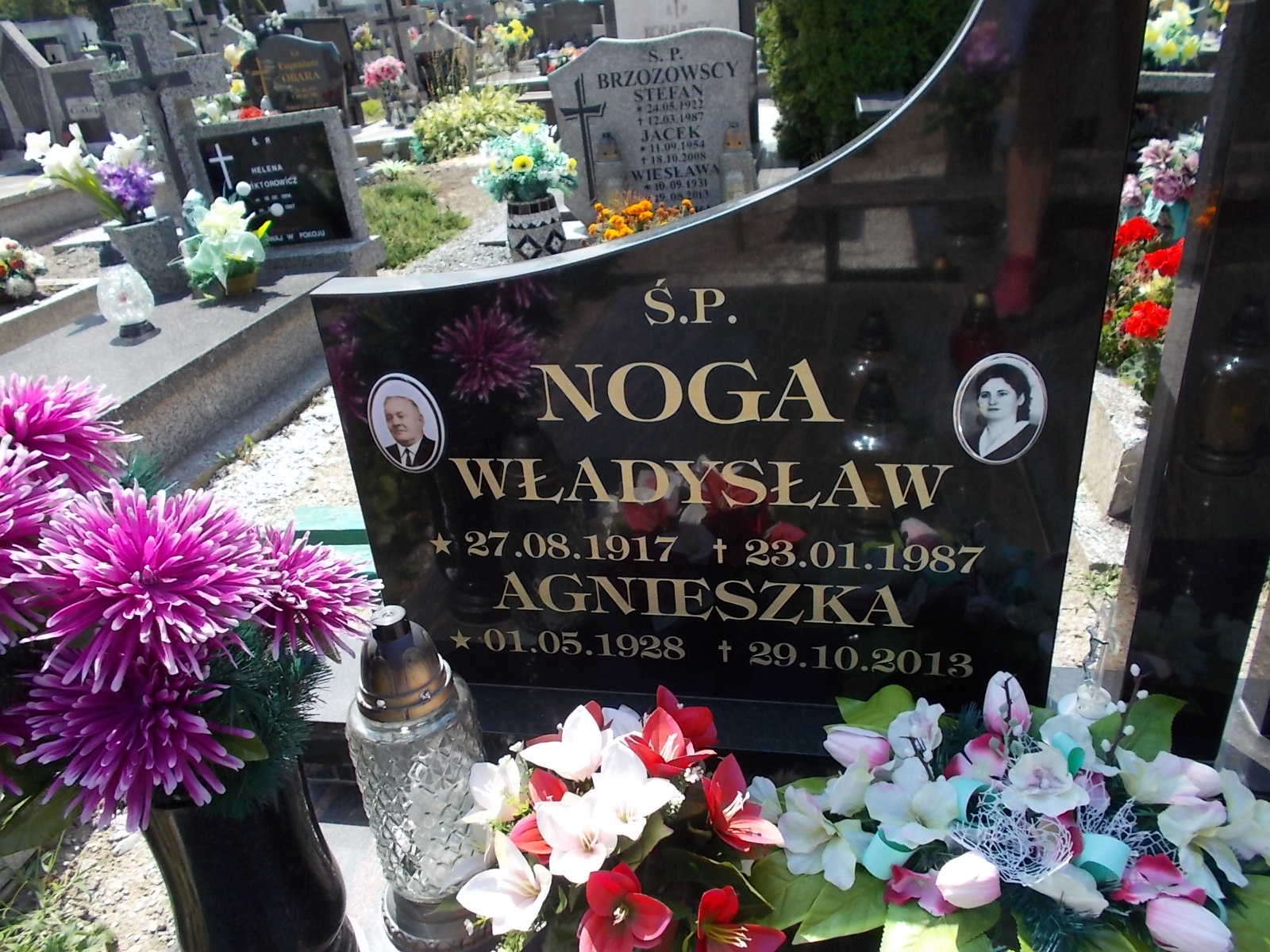 Edward Noga 1959 Pieszyce - Grobonet - Wyszukiwarka osób pochowanych